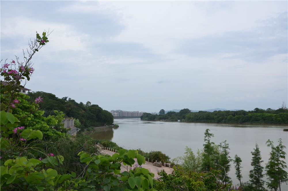 國(guó)務(wù)院：聚焦企業(yè)關(guān)切，進(jìn)一步推動(dòng)優(yōu)化營(yíng)商環(huán)境政策落實(shí)